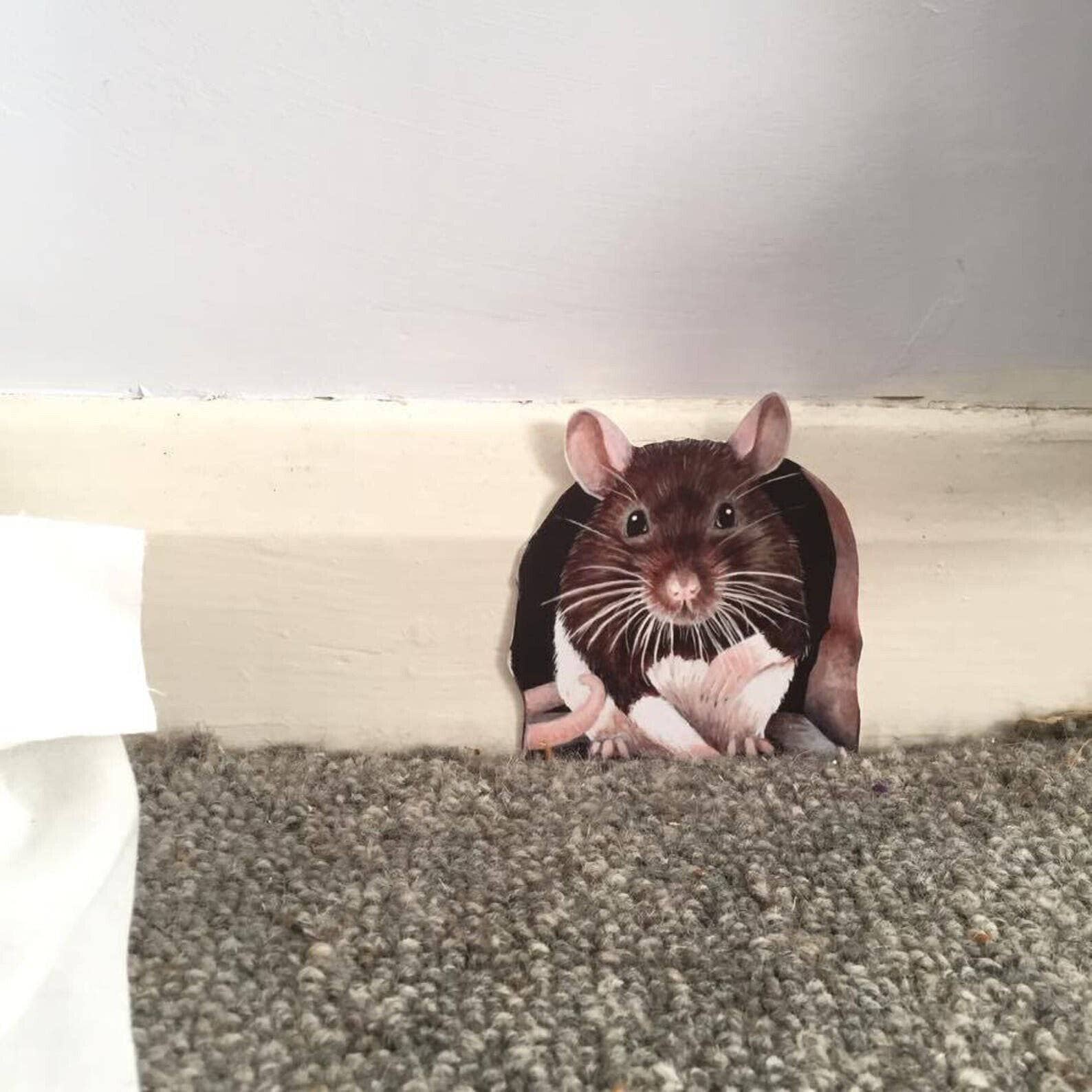 Wonderwallsboutique – wholesale Wall decal/stickers – Charming Rat Wall Sticker - Easy to Apply & Remove3