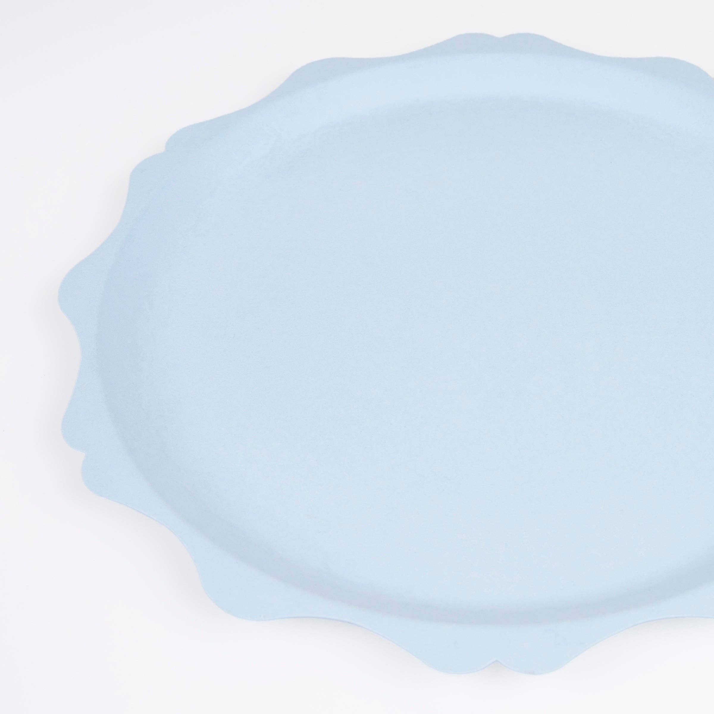 Meri Meri – wholesale Disposable plate – Blue Decorative Edge Compostable Dinner Plates2