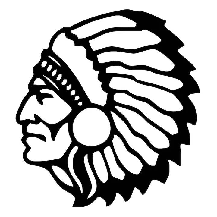 Chief Head Vinyl Decal for wholesale by Nish Gear