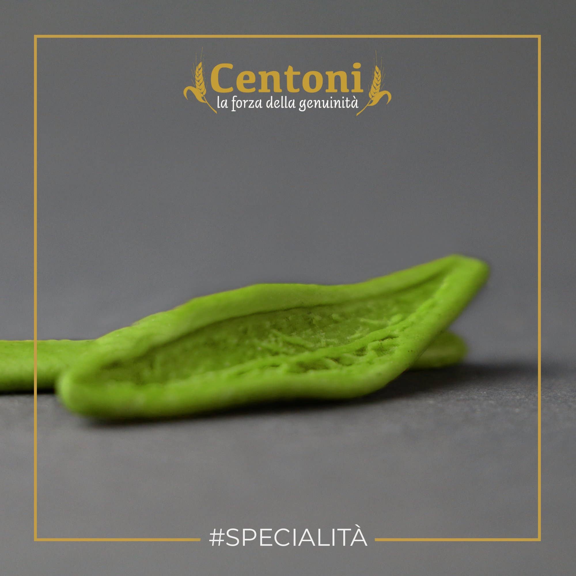 Pasta Centoni - Lorè S.r.l. - Wholesale Pasta - Foglie d'Ulivo spinach flavored 500 g (artisanal shape)4