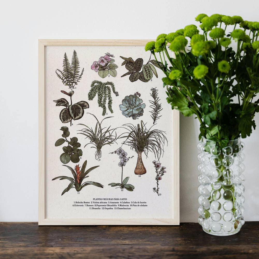 Lalauri - Wholesale Kunstprint - Veilige planten print1
