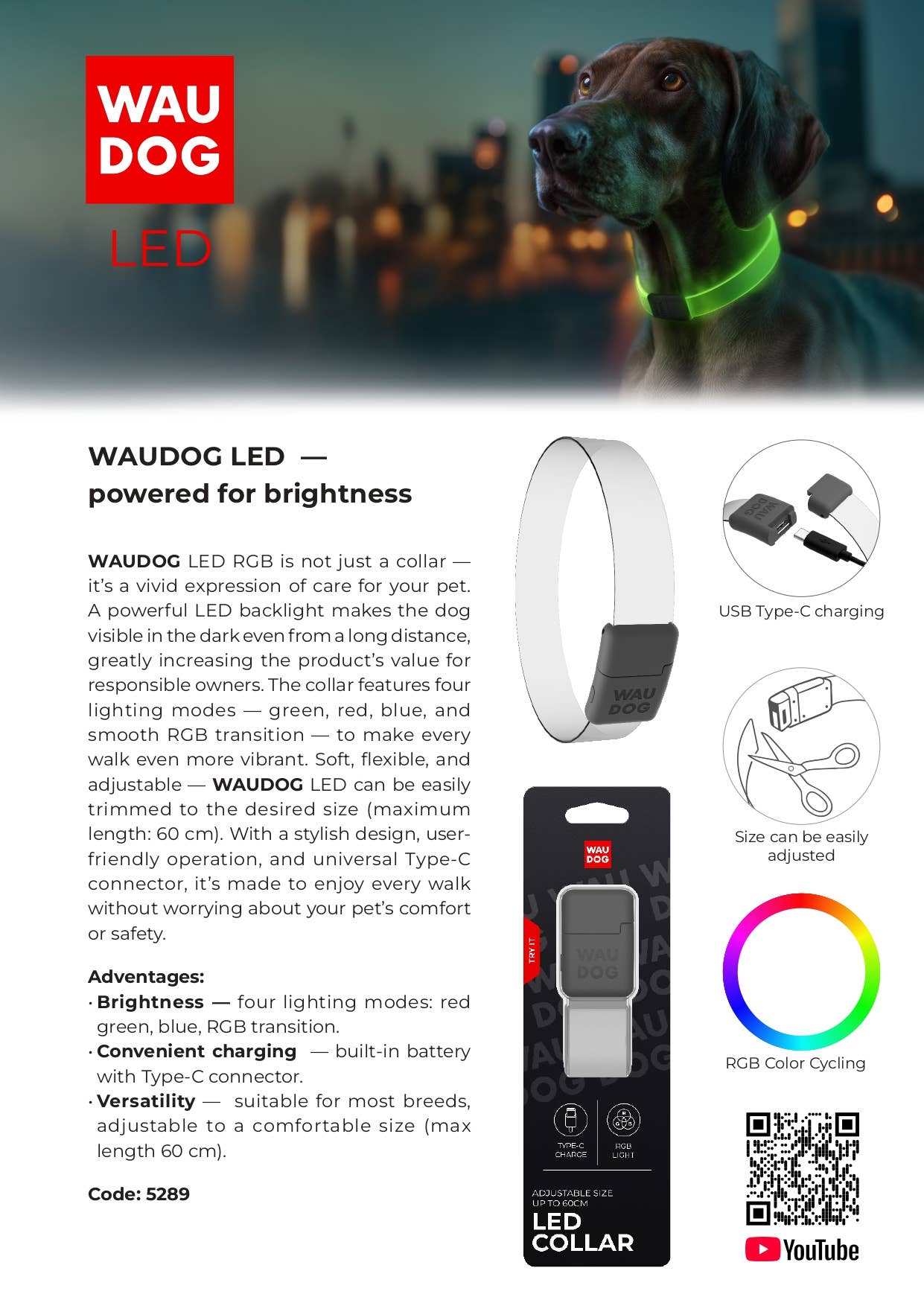 WAUDOG LED Collar — Bright LED, Adjustable Fit & Color for wholesale on Faire