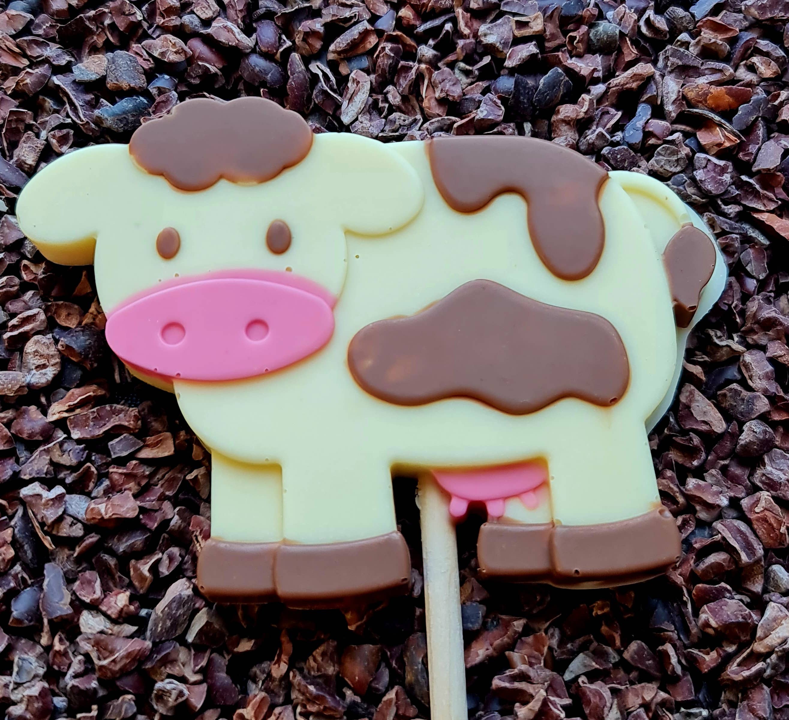 Cwtsh Chocolate - Wholesale Lollipop - Dotty cow chocolate lolly3