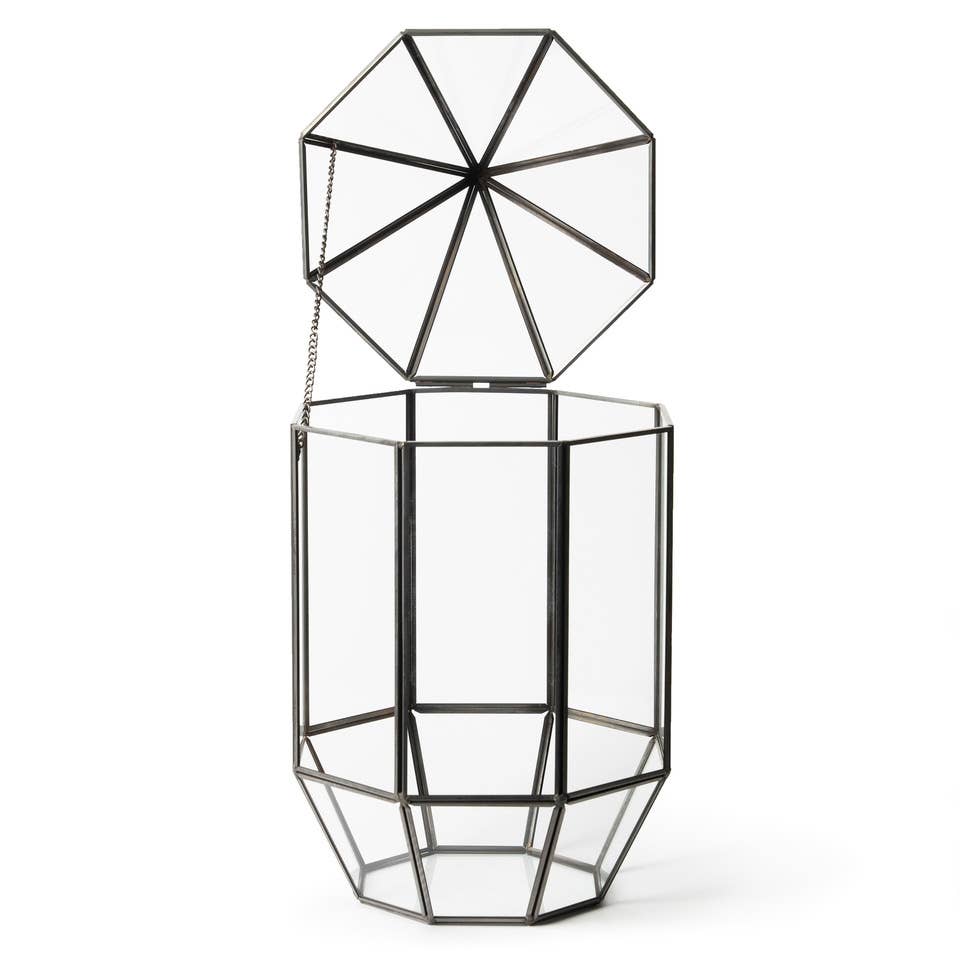 SuperMoss - Wholesale Terrarium - Glass Terrarium1