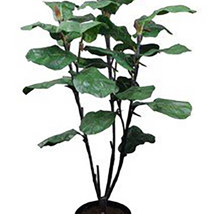 Real Touch Lush Fiddle Leaf Tree - 5ft for wholesale by TF Publishing - Paper Goods