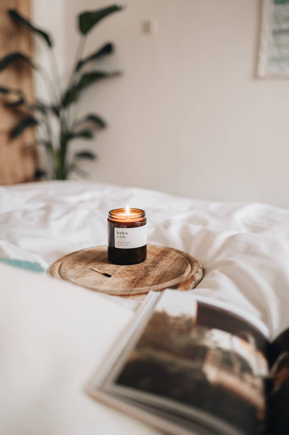 hobo + co. candles – Großhandel Kerze im Glas / gefüllte Kerze – Citrus- und Basilikum-Duftkerze aus Sojawachs, mittelgroß1