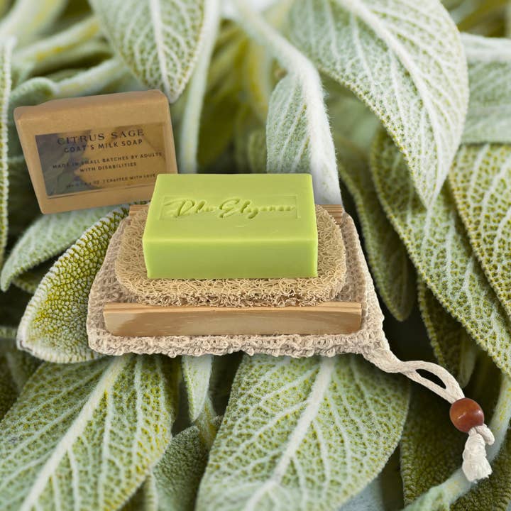 Artisan Soap - Citrus Sage for wholesale by ECHO Barkery