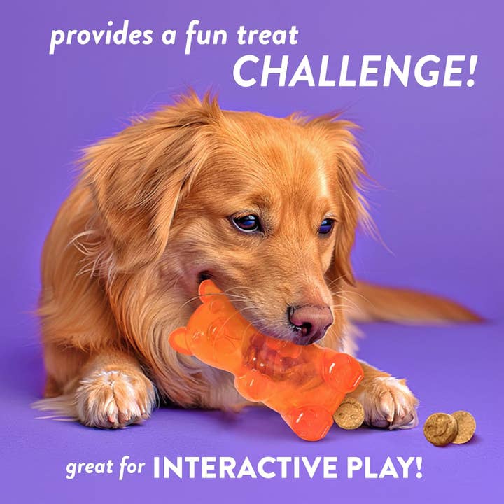 Elite Pet Distributors - Wholesale Pet Plush Toy - Dog - Spunky Pup Gummy Bear Interactive Dog Toy with Treats Included - Assorted Neon Colors- Medium4