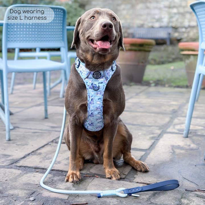 Pawsome Paws - Vendita all'ingrosso Pettorina - Cani - Disney© Tough Trails™ Pettorina - Ih-Oh40