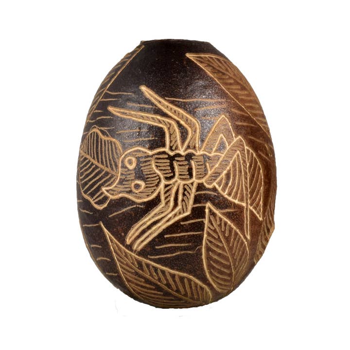 Myre Insekt Calabash Juletræ ornament og hånd rangle for engroshandel hos Amazon Ecology