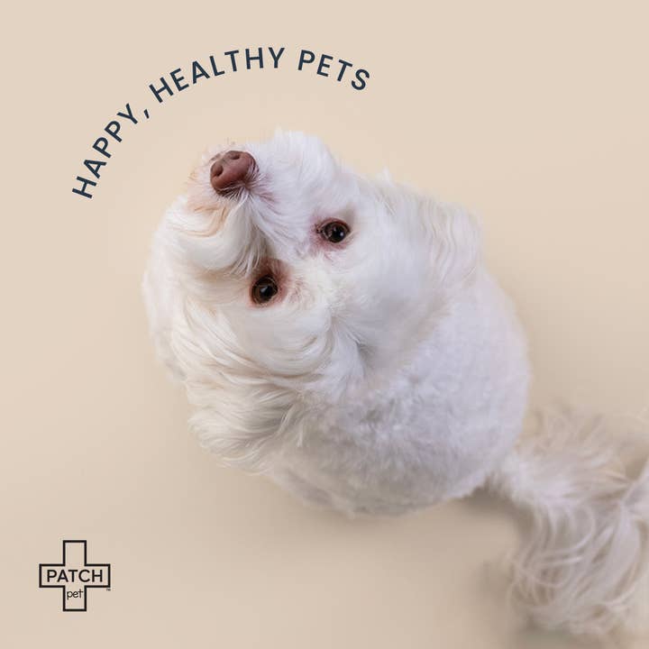 PATCH - Eco First Aid - Wholesale Pet Grooming Aid - Dog -
PATCH Pet Eco On-The-Go Travel Bandage Kit for Pets2