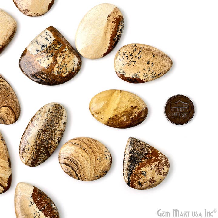GemMartUSA - Wholesale Spirituele steen/kristal - Foto: Jasper Mix Shape Cabochon, geboortesteen van maart 2-2,5 inch1