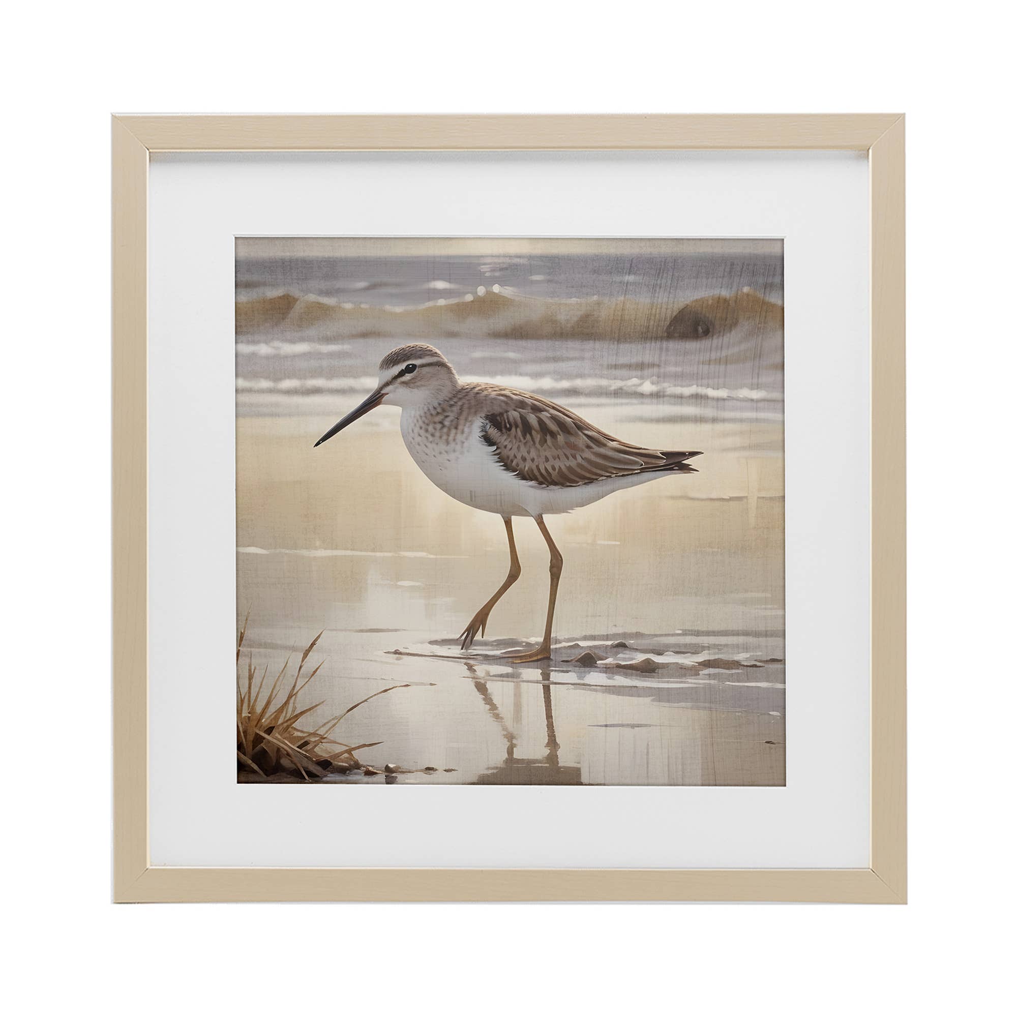 Stupell Industries - Wholesale Wall Sign - Wading Beach Sandpiper - Print Under Glass Wall Art11