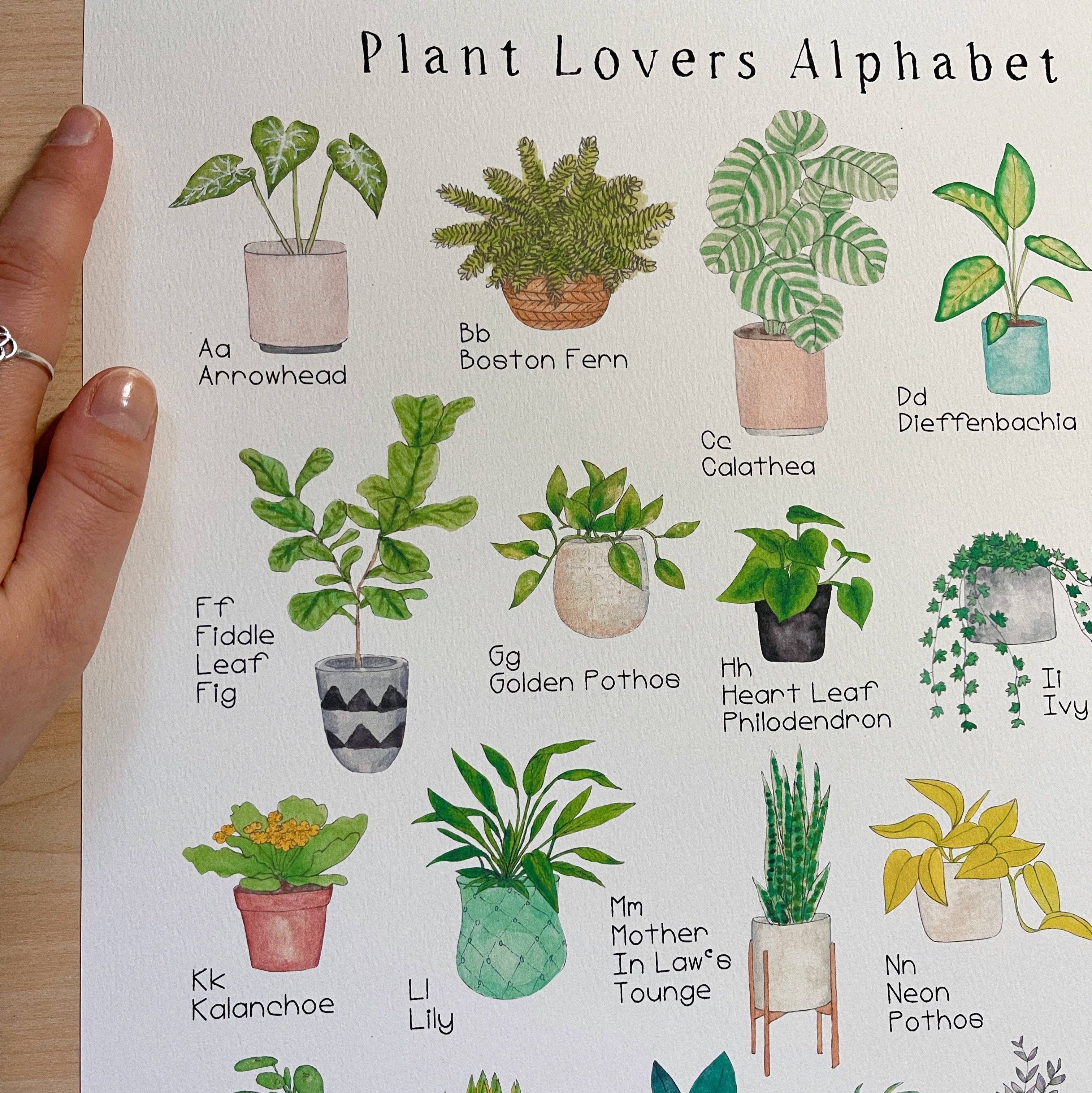 The Curious Cactus - Wholesale Art Print - Plant Alphabet Art Print5