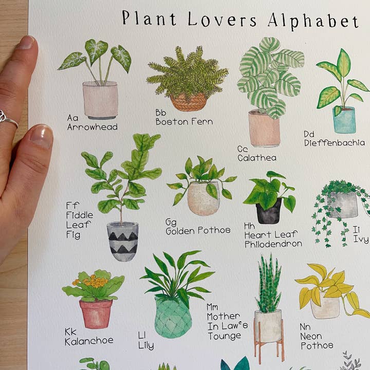 The Curious Cactus - Wholesale Art Print - Plant Alphabet Art Print5
