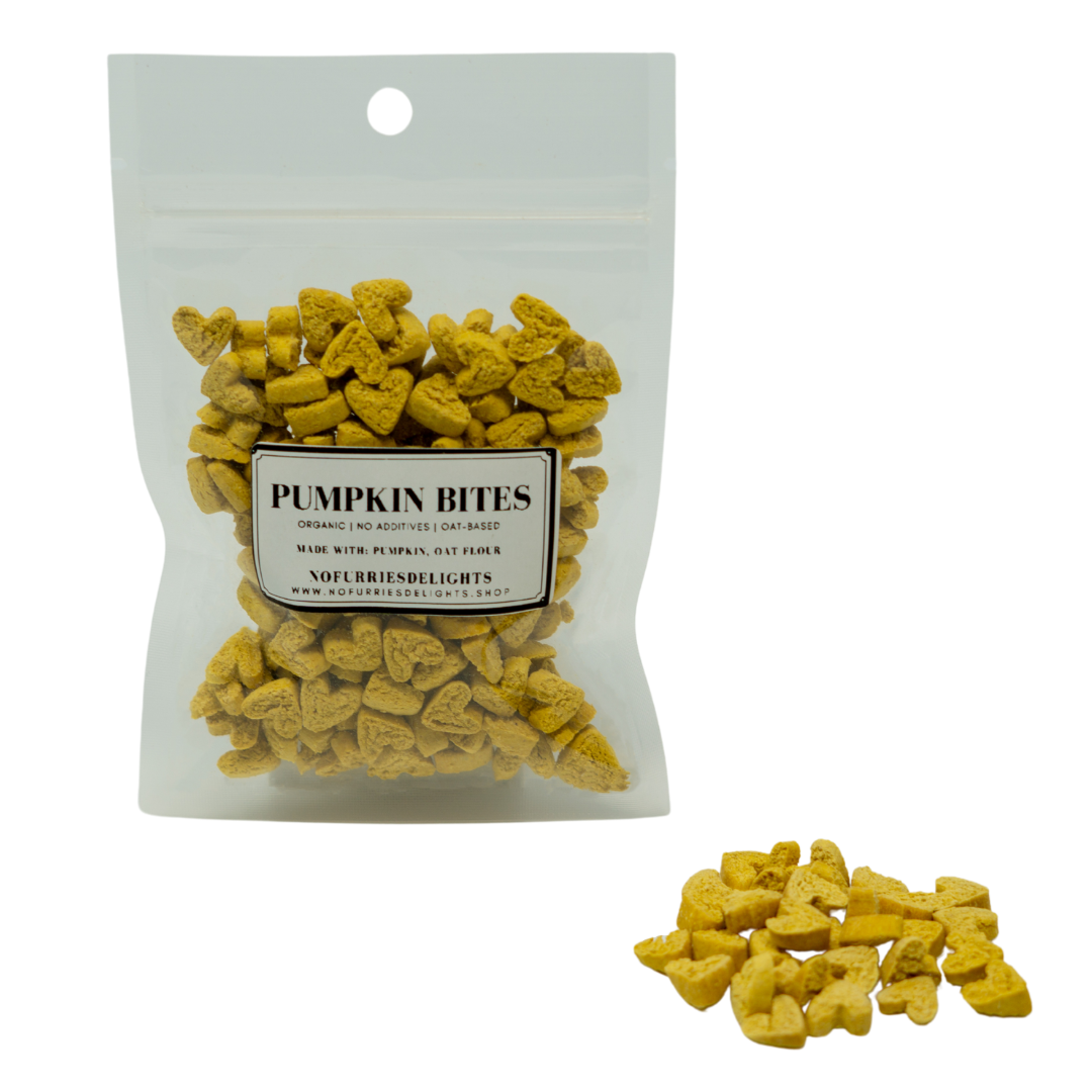 No Furries Delights - Wholesale Pet Supplement - Not Cat/Dog - Pumpkin Bites (50g | 1.76oz)2