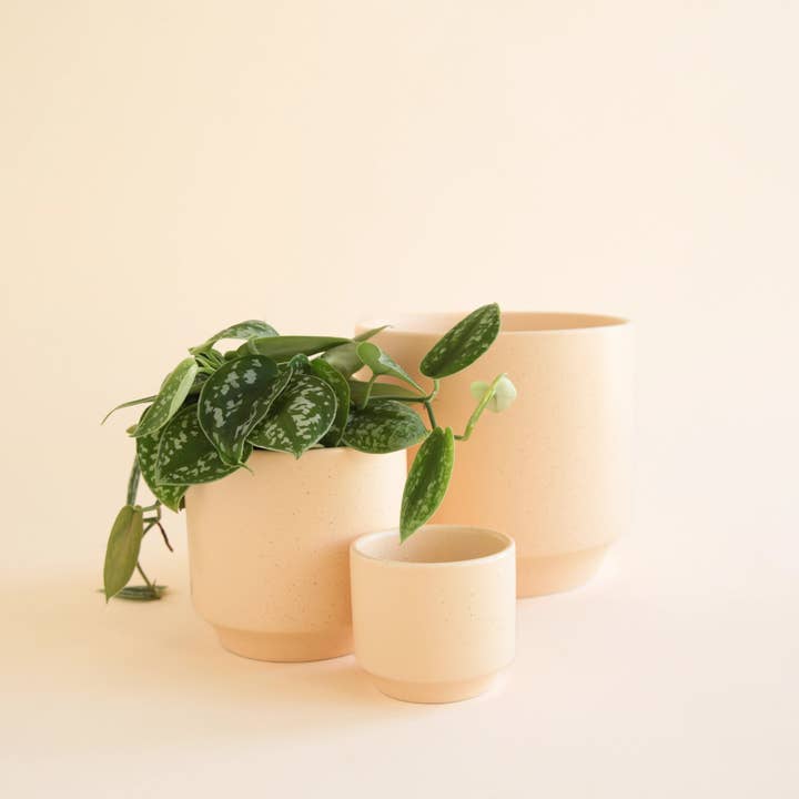 Jungle Club - Wholesale Plant Pot - Parker Planter | Vanilla Speckle