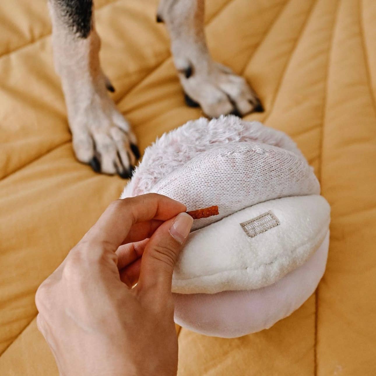 Lambwolf EU - Vendita all'ingrosso Giocattolo - Cani - TOTO giocattolo arricchente per animali8