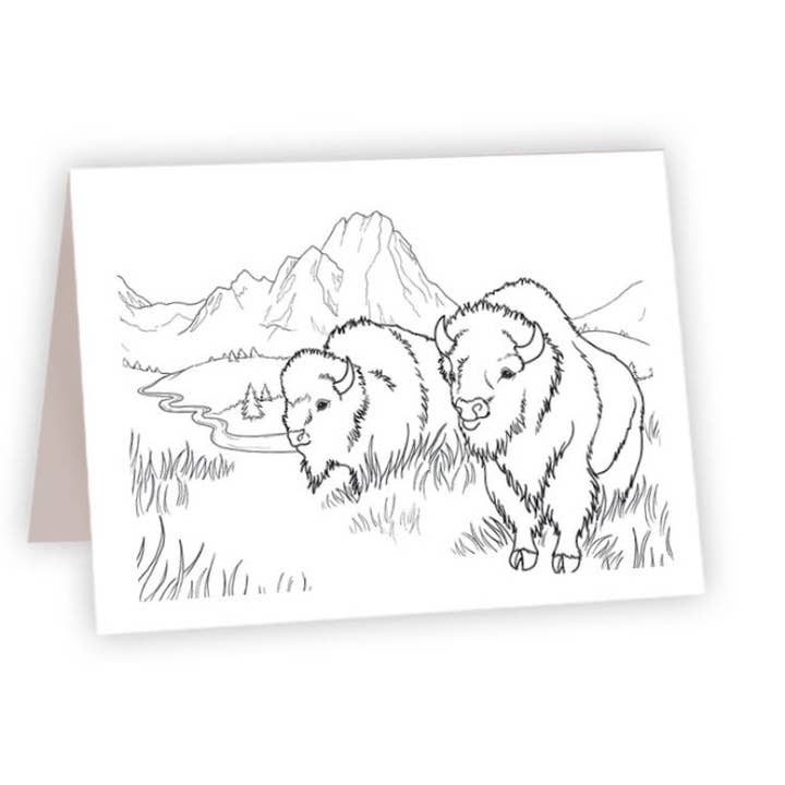Coloring Card - Bison for wholesale by Ahava River Cards, Books & Decor