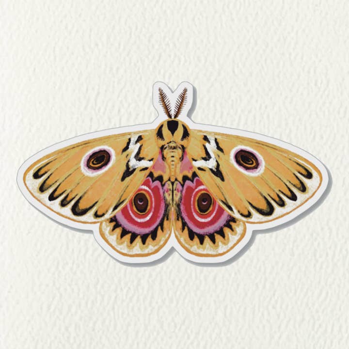 Yellow Moth Vinyl Sticker for wholesale by Folk Meadow