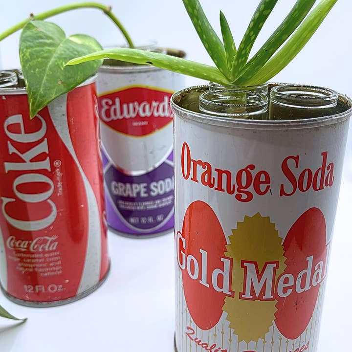 Estación de propagación de plantas/jarrón para brotes en una lata vintage para venta al por mayor de The Mustache Cat Made