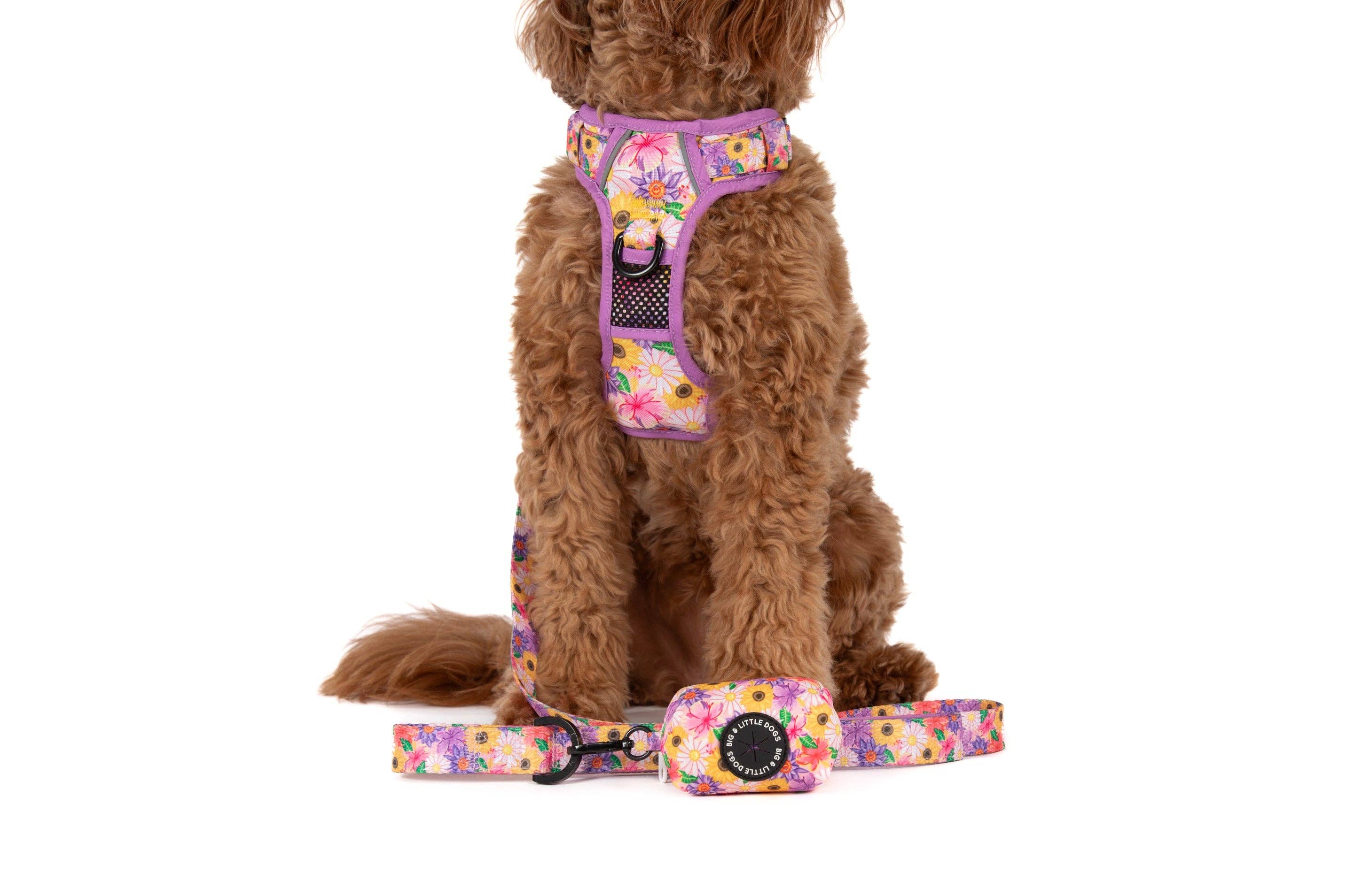 Big and Little Dogs - Wholesale Pet Poop Bag Dispenser - DOG POOP BAG HOLDER: Spring Fling1