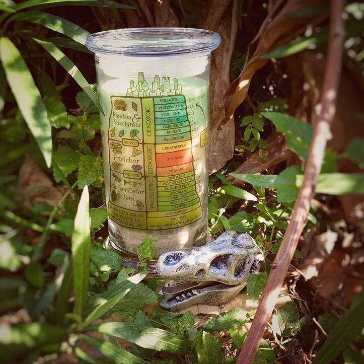 North Ave Candles - Wholesale Jar/Filled Candle - The Excavation Candle  / dinosaur candle / Museum Gift Shop1