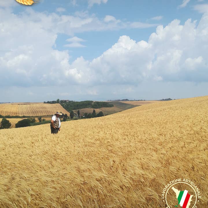 Az BIOAgricola Bertoli - Wholesale Pasta - Pennoni Organic Tuscan Italian Artisan Pasta6