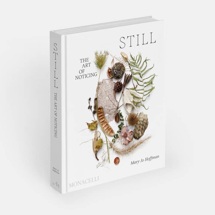 STILL: The Art of Noticing for wholesale by Phaidon