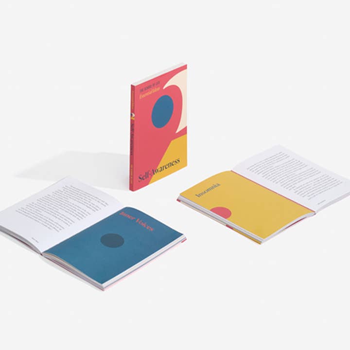 The School of Life – Autoajuda e desenvolvimento pessoal por atacado – Livro de Ideias Essenciais sobre Autoconsciência, Presente único3