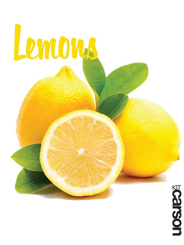 Lemons Cut in Half Swedish Dishcloth for wholesale by Kit Carson Accessories