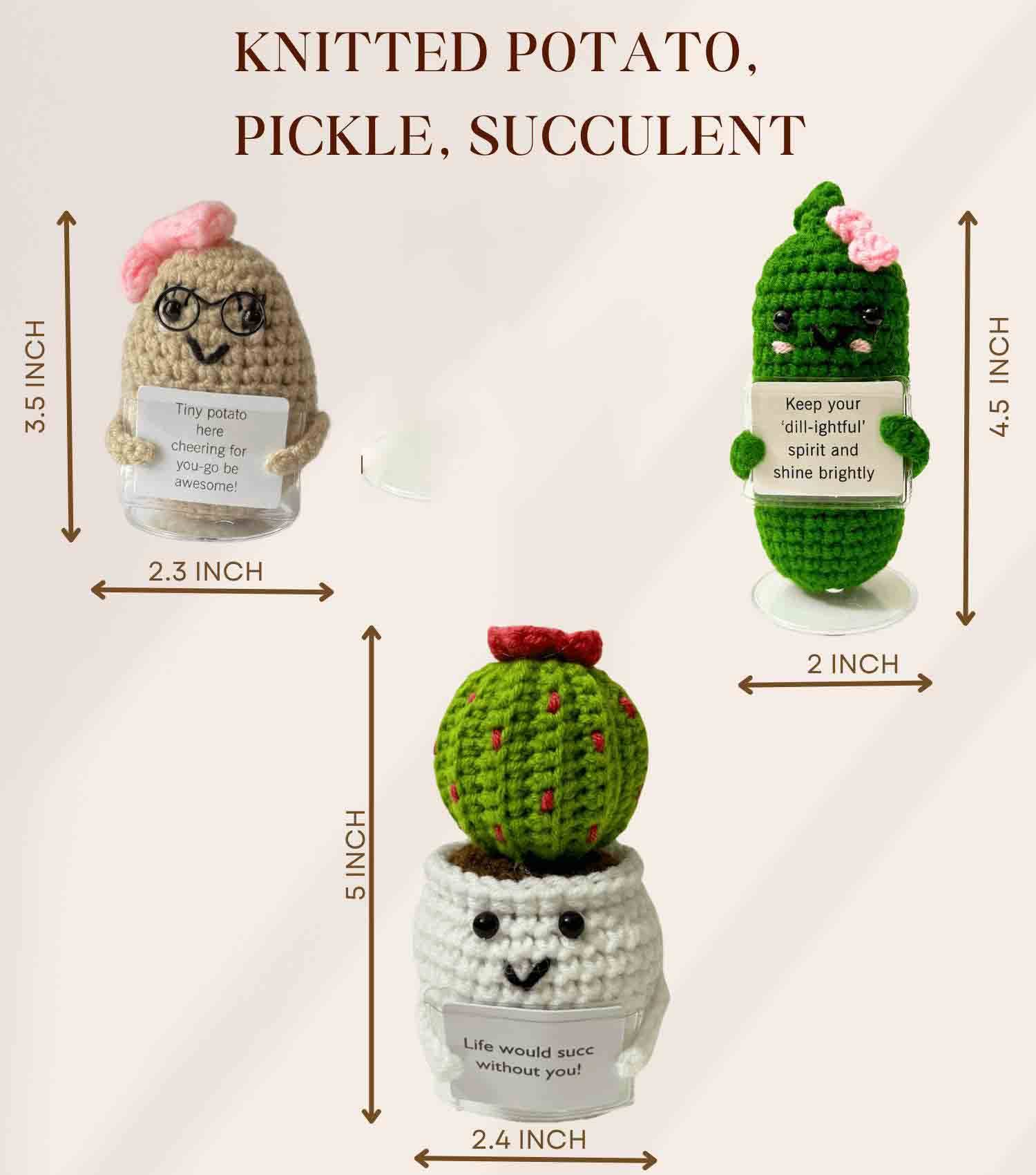Anh2 LTD - Wholesale Decorative Tabletop Object - Emotional Support Pickle Positive Potato Succulent Crochet 2