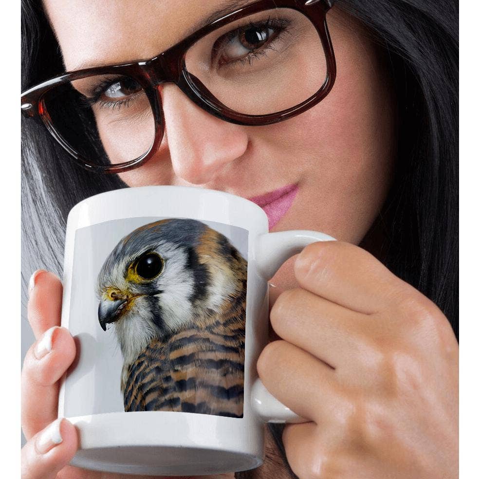 3dRose - Wholesale Coffee Mug - 3dRose, Female American Kestrel in winter ., Mug9