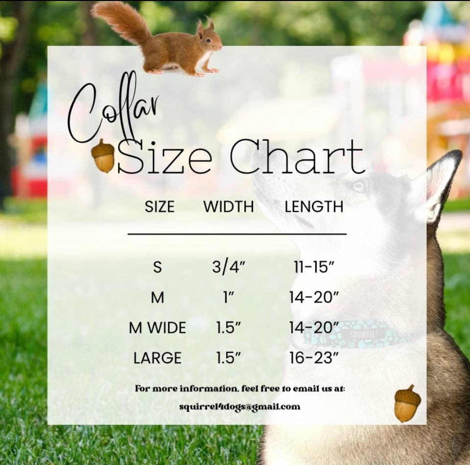 Squirrel! - Venta al por mayor Collar - Perros - Collar de Menta Twist1