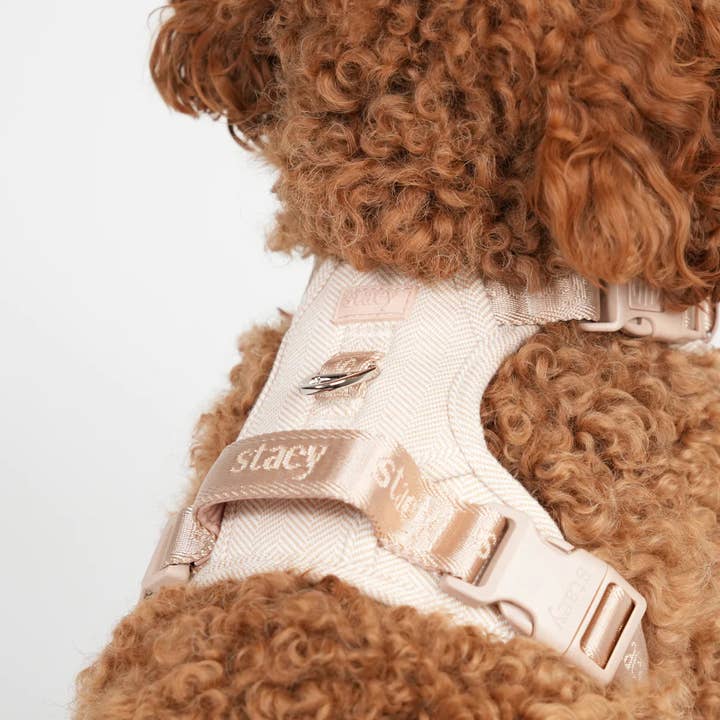 Staey - Wholesale Pet harness – Dog - Elma Dog Harness | Light Rose3
