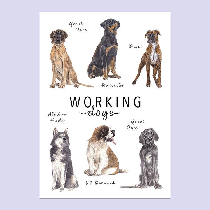 Working Dogs A5 Print for wholesale by Lucy Locks Art
