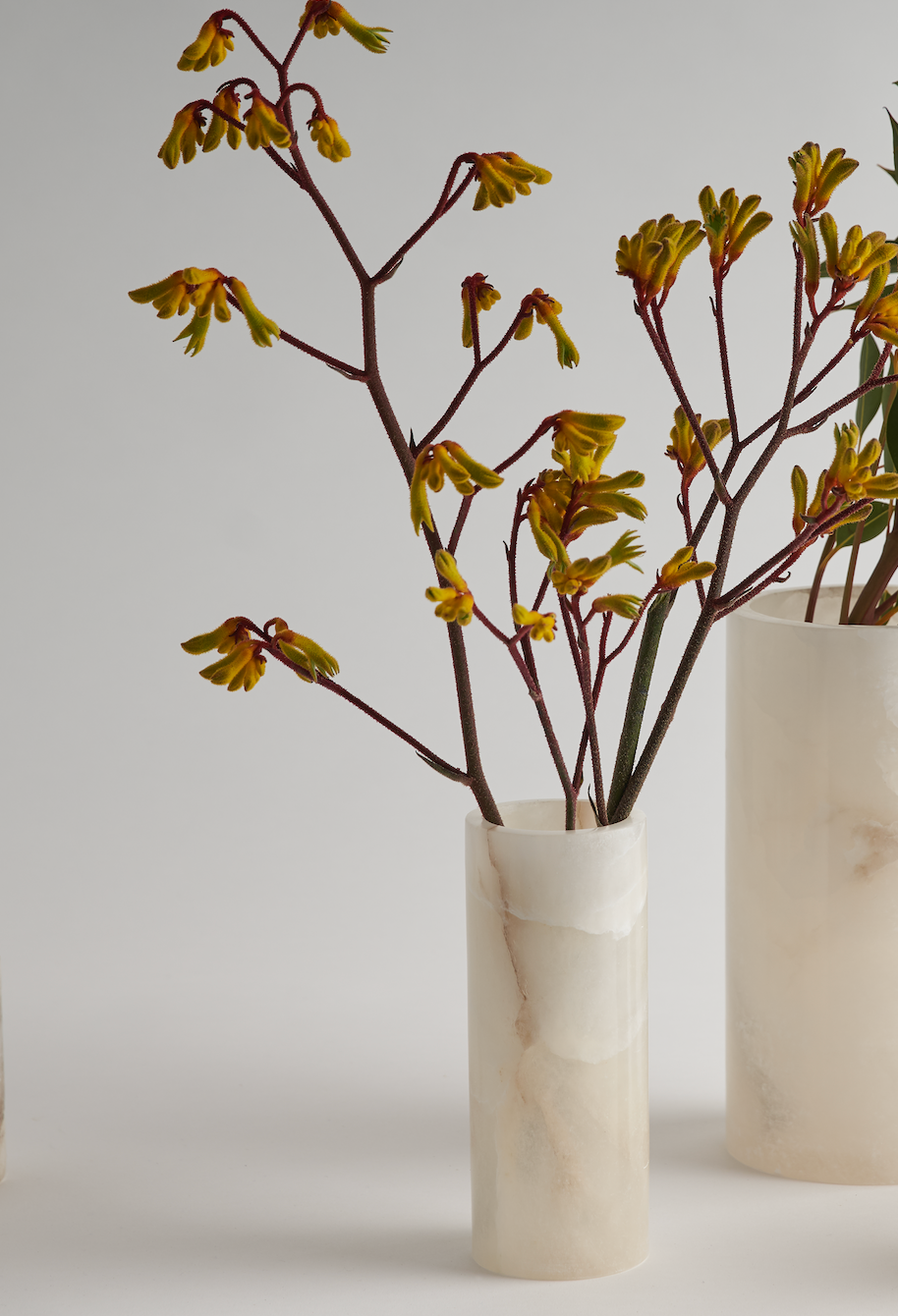 The Collective - Wholesale Vase - Santo Alabaster Narrow Vase1