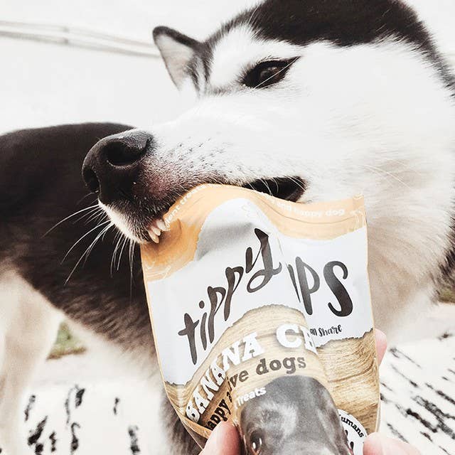 Tippy Taps Treats – wholesale Godis - Hund – Naturliga hundgodisar, banan tugg 100 g - vegansk & glutenfri3