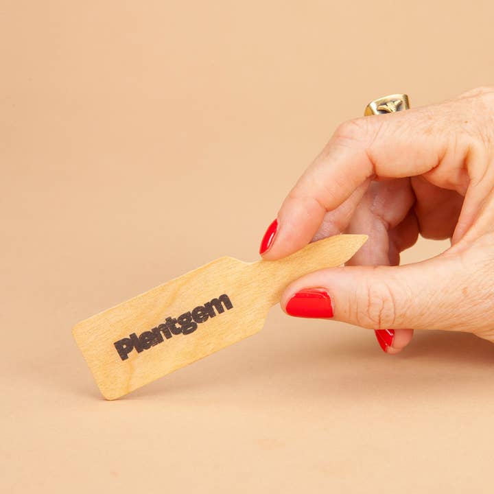 Plantgem - Wholesale Plant Seeds - Copper Image Tulip - 12 Bulbs2