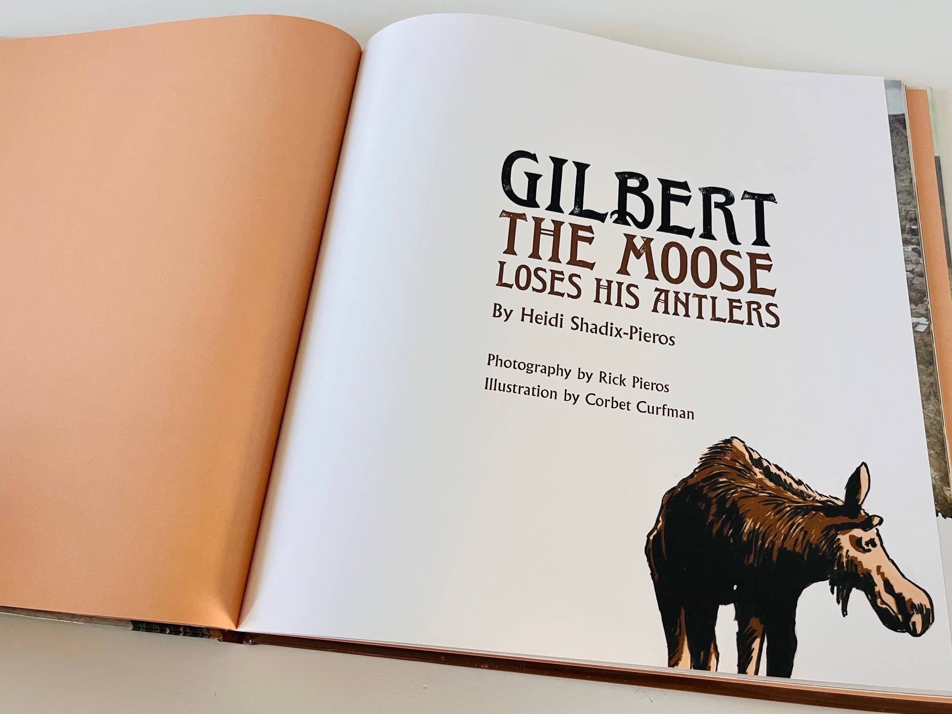 Gilbert The Moose - Rick Pieros Photography - Vendita all'ingrosso Preschool Book (3-5) - Gilbert the Moose Loses His Antlers - libro per bambini3