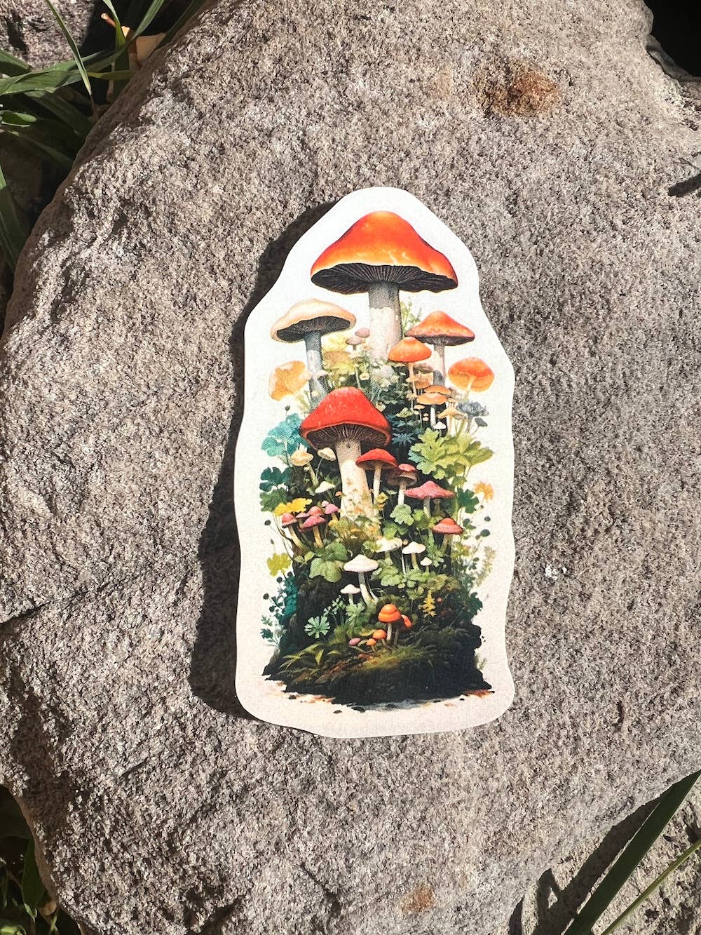 Sticker Art - Wholesale Sticker - Mushroom Sticker - Dishwasher Safe2