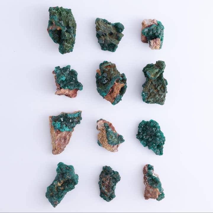 Dioptase Set of 12 and other Purchase Wholesale olio di colza prezzo. Free Returns & Net 60 Terms on Faire trending on Faire.