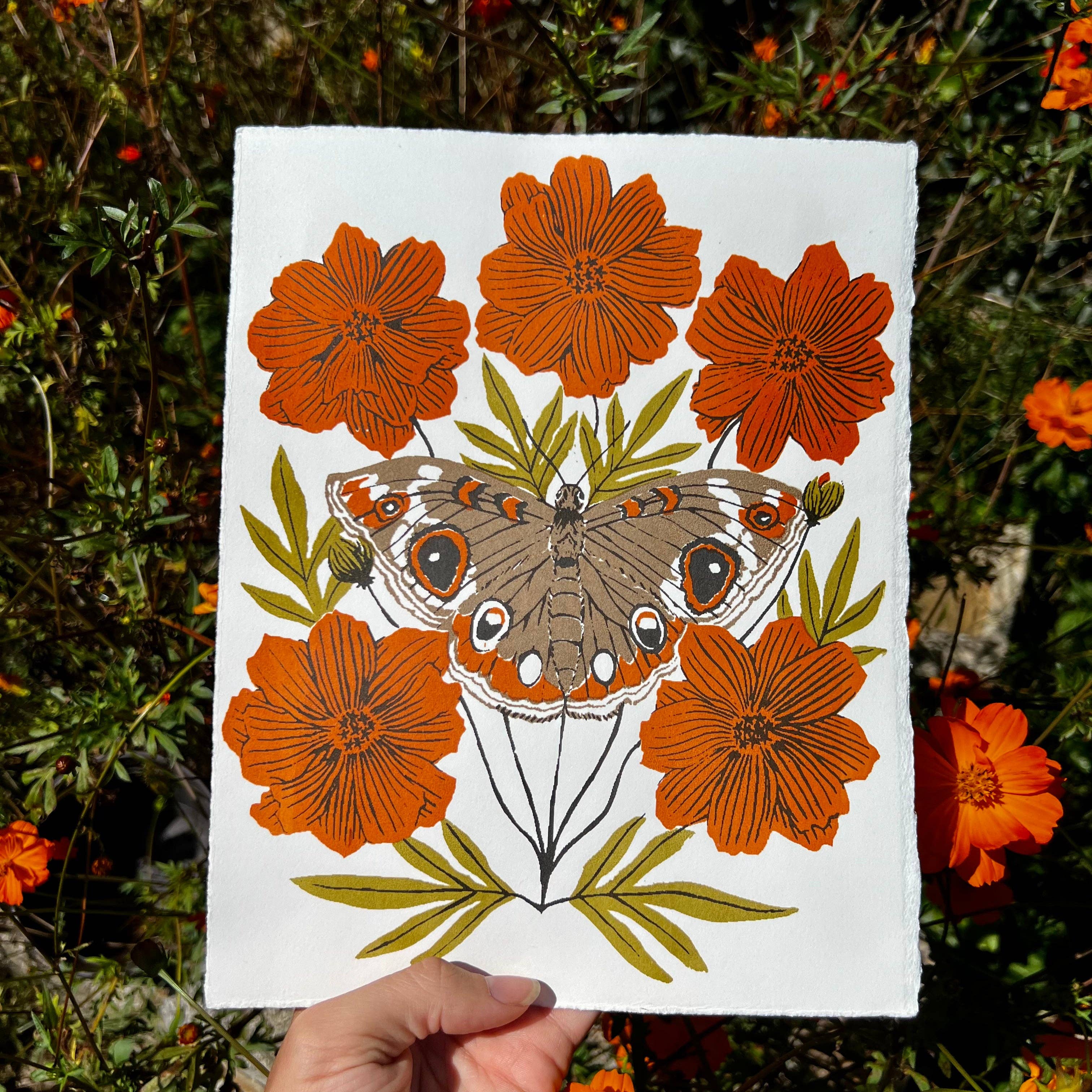 Needlebone, LLC - Vente Affiche d'art - Buckeye - Imprimé 8x101