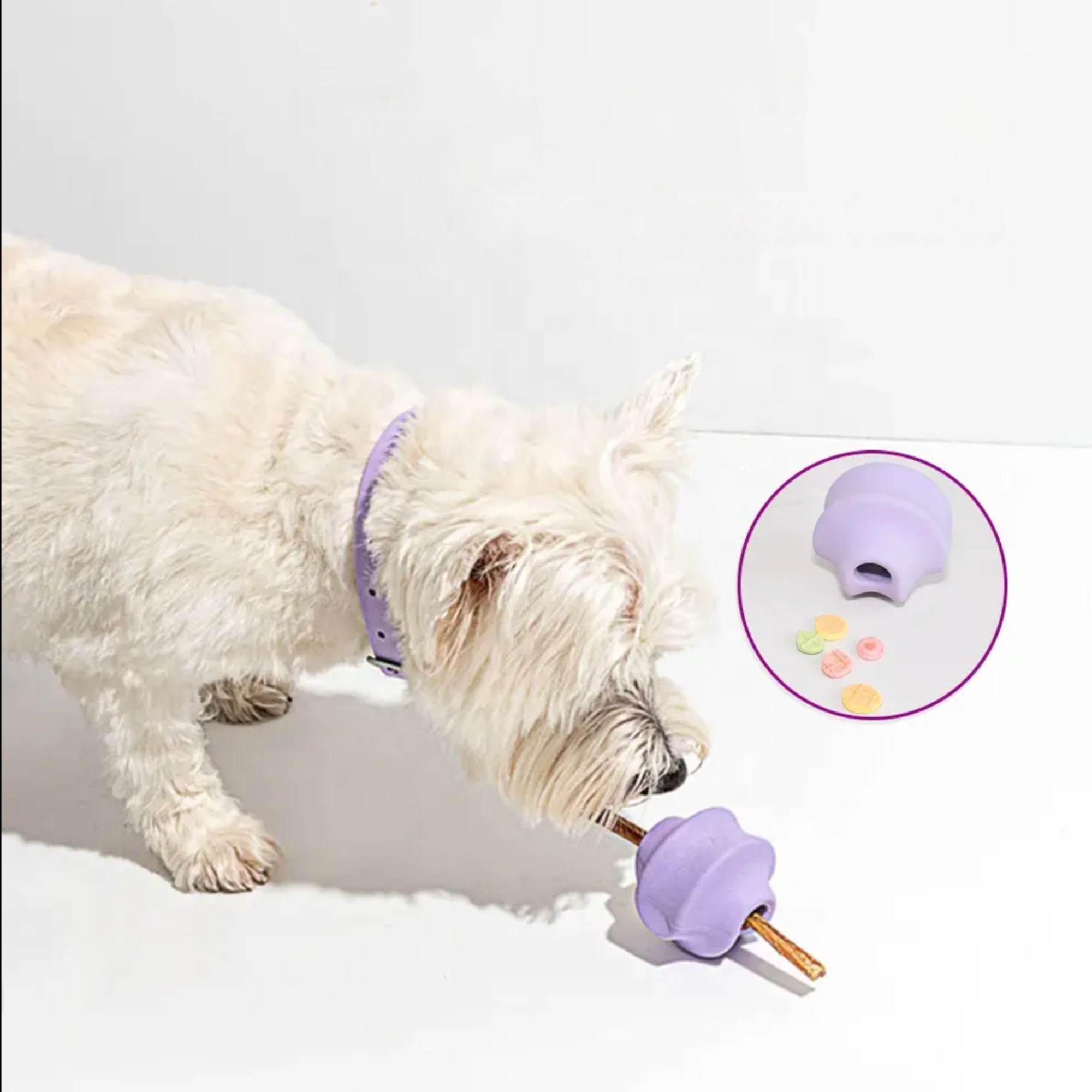 Charlie & Co - Venta al por mayor Juguete para morder - Perros - Tumble Twist - Juguete de enriquecimiento, color púrpura12