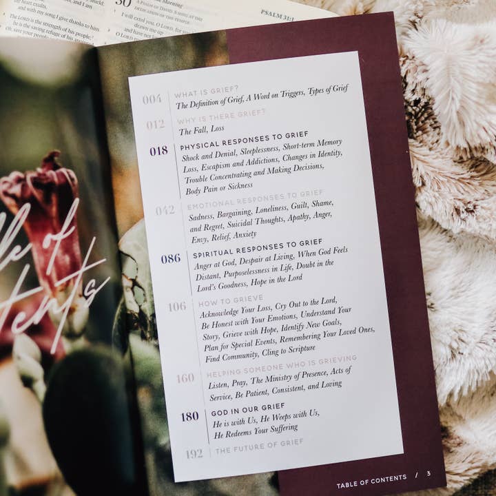 The Daily Grace Co - Wholesale Religion - Gospel Hope in Grief and Loss1