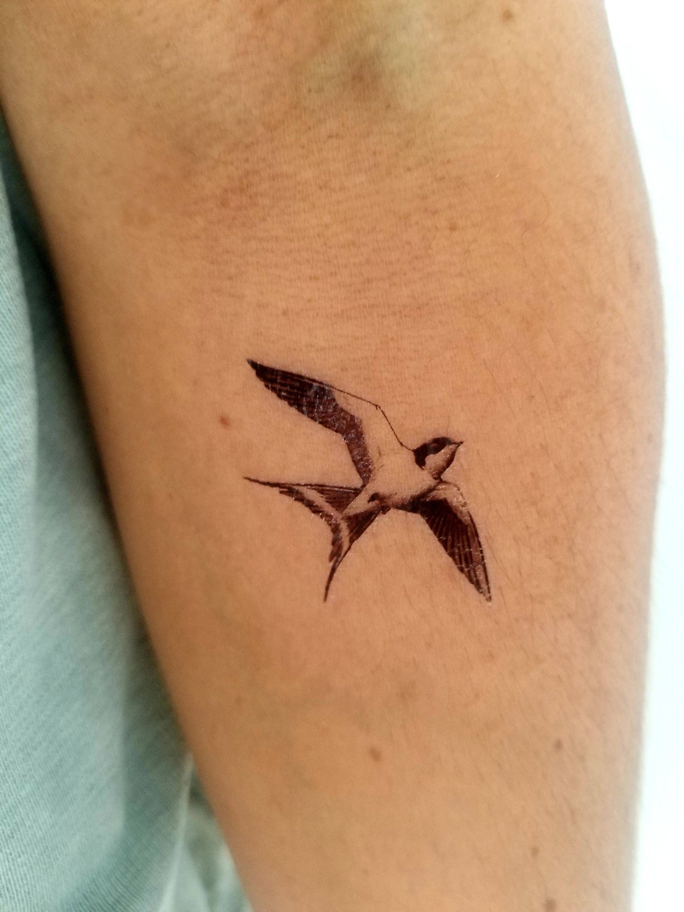 encredelicate - Wholesale Temporary Tattoo - vintage swallow temporary tattoo (set of 2)