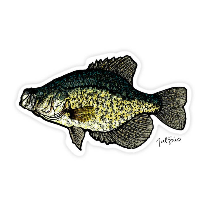 BruleBay - Wholesale Sticker - Crappie Fish Sticker Decal