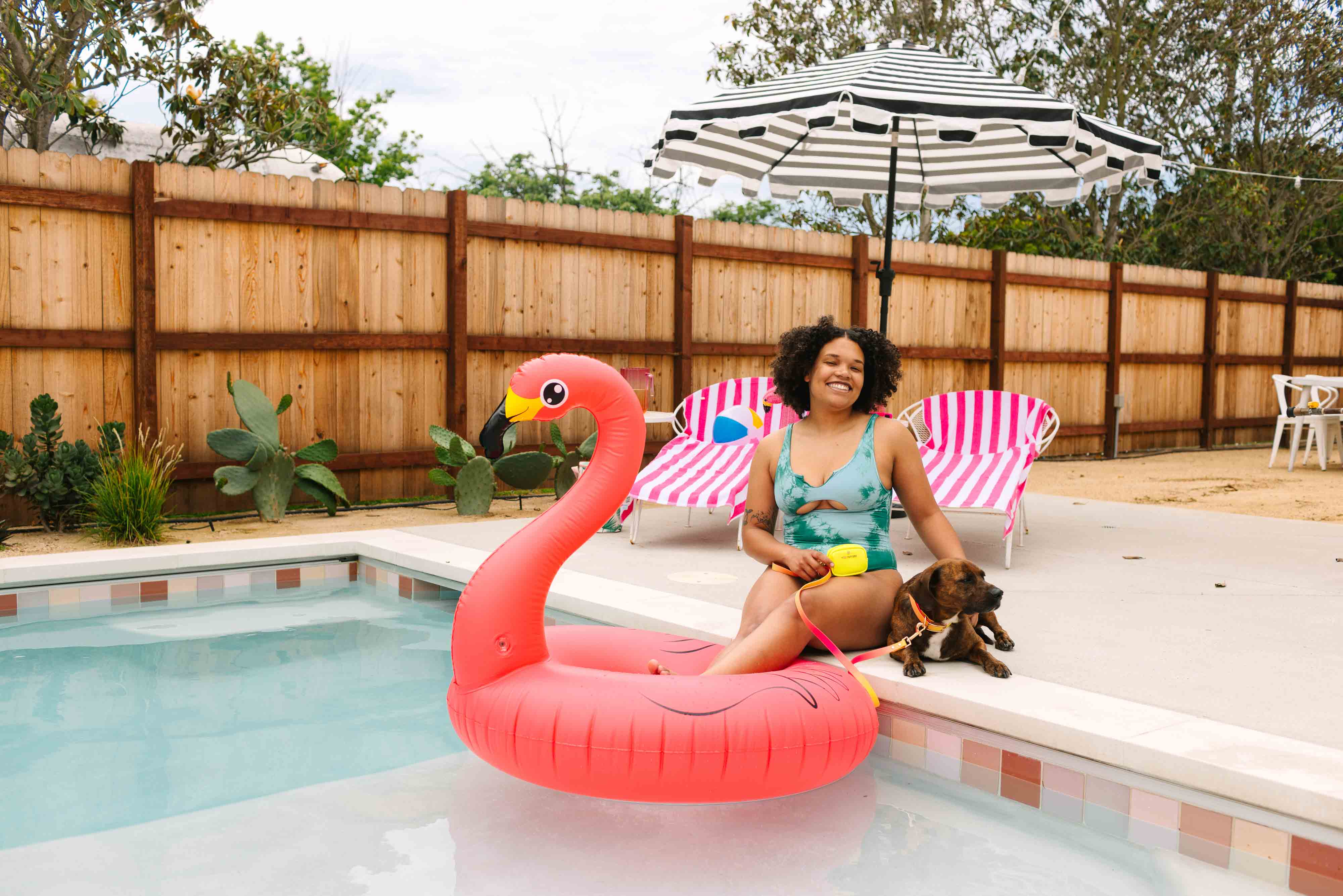 Pink Papyrus | Premium, Durable, & Stylish Dog Products – coleira - Cão por atacado – Coleira para Cão à Prova de Água e Fácil de Limpar Katelin All Weather6