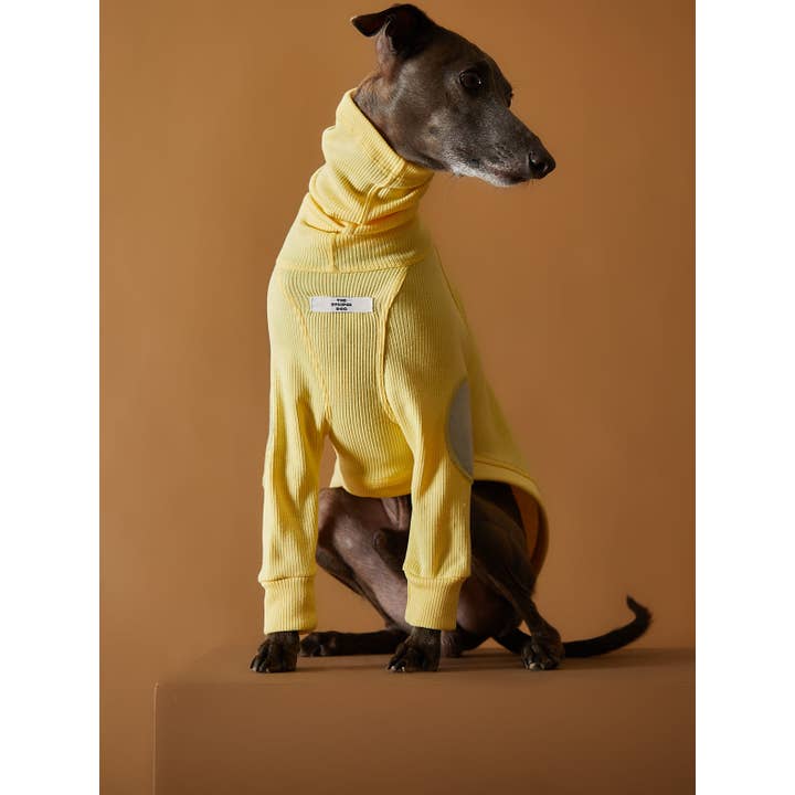The Striped Dog - Vendita all'ingrosso Maglione - Cani - Maglione dolcevita a costine con levriero italiano/Whippet TULERIE