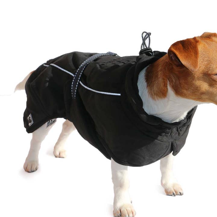 Ancol Pet Products Ltd - Vente Manteau – chien - Manteau extrême monsoon pour chien noir0